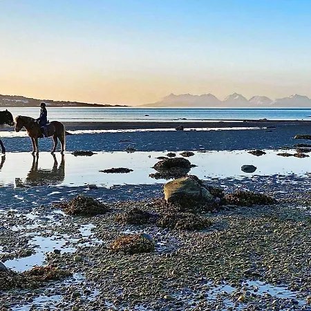 6 Person In Hamnvik