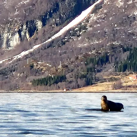 Tatil Evi 6 Person In *