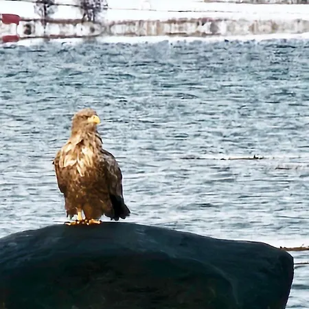 Tatil Evi 6 Person In Hamnvik