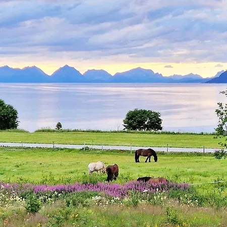 Holiday Home Hamnvik