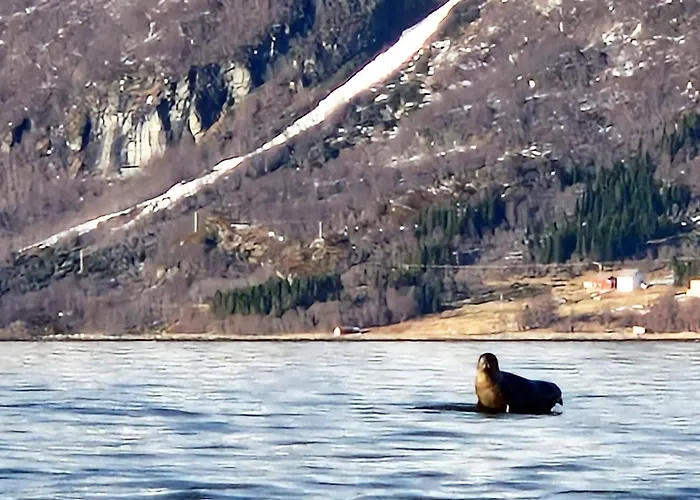 Semesterbostad 6 Person In *