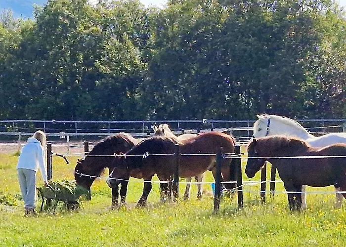 6 Person In Semesterbostad Hamnvik